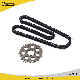 Motorcycle Spare Parts-Timing Chain for Bajaj100