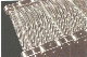 Roller Chain Drive Wire Mesh Conveyor Belts