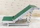 Customized High-Efficiency Vertical Loading and Unloading Material Conveying Belt Conveyor