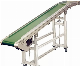 Customized High Efficiency Vertical Loading Unloading Belt Conveyor for Material Transportation