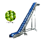  Tt-IC-01 Skirt Conveyor Climbing Conveyor PU Conveyor Lorry Loading and Unloading Climbing Conveyor Solid Waste Belt Conveyor