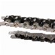 Custom Stainless Steel Conveyor Roller Chain Double Plus Chains BS25-C216A BS30-C216A