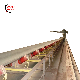  Customized Carbon Steel Fire Resistant Roller Price System Belt Conveyor for Mining