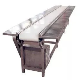 Hongrui Customized Size Degree Degree Curved Food Grade PU Material Belt Conveyor