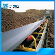  Customized Mineral Sand Cement Cloth Nylon Steel Wire Rope Belt Conveyor