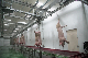  Stainless Steel 400head/Hour Slaughtering Equipment Bloodletting and Hoist Pig Conveyor