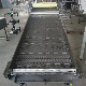  High Performance Iron/Stainless Steel Heat Resistant Mesh Belt Conveyor