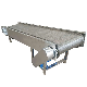 Plastic Chain Conveyor Modular Belt Chain Conveyor for Industry Processing From China Factory
