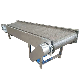 Plastic Chain Conveyor Modular Belt Chain Conveyor for Industry Processing From China Factory