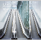 High-Quality Moving Walk Safe and Low Voice Passenger Conveyor Used in Public Places in Shopping Malls or Subways