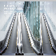 High-Quality Moving Walk Safe and Low Voice Passenger Conveyor Used in Public Places in Shopping Malls or Subways manufacturer