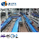 Factory Price Higu Quality Small Cosmetic Bottle Chain Conveyor for Filling Machine