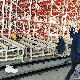  Factory Unpower Telescopic System Slide Gravity Roller Mobile Conveyor