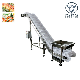 Food Grade PP Chain Plate Incline Conveyor for Frozen Fish