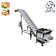  Food Grade PP Chain Plate Incline Conveyor for Frozen Fish