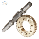 Steel/Brass Steering Pinion Screw Shaft Worm Gear by Hobbing Machine manufacturer
