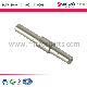  OEM CNC Machining Stainless Steel Precision Shaft for Micro Auto Motors