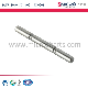 Stainless Steel Micro Precision Shaft