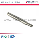  Direct OEM Supplier of Ss Precision Short Shaft for Power Tools with ISO Certification