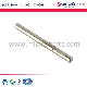  ISO Certified Customized Micro Stainless Steel Precision Shaft for Household Meat Grinders