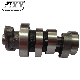 Genuine Motorcycle Parts Camshaft Comp. for Honda Spacy Alpha manufacturer