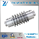  High Quality Worm / Worm Shaft Used for Auto Parts