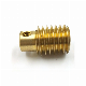 Customized High Precision Small Brass Worm Gear Shaft Mini Motor Worm Shaft