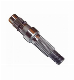 CNC Machine Worm Shafts for All Sizes From Professional Factory for Industrial/Hardware