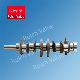  4D56 4D56t 4D56u High Quality Crankshaft for Mitsubishi Engine Crank Shaft