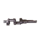  Semi-Hermetic Compressor Part Crankshafts Used for Bitzer 6f. 2 6g. 2 6h. 2 6f. 2y 6g. 2y 6h. 2y