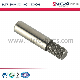  High Precision Armature Shaft of Micro Motor with IATF & ISO Certification