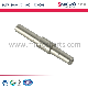 OEM CNC Machining Stainless Steel Precision Shaft for Micro Auto Motors