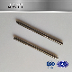  (JY123) Slender Shaft, Needle Shaft Made of Stainless Steel 303/304, Central Radian Shaft