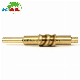  High Precision CNC Machining Telescope Brass Worm Shaft