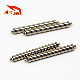 Double-Shoulder 1.5mm 316L 304 Stainless Steel Watch Spring Bar Shaft