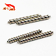  Double-Shoulder 1.5mm 316L 304 Stainless Steel Watch Spring Bar Shaft