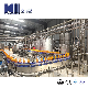  Full Automatic Fruit Juice Processing and Packaging Line