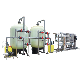  Borehole Salty RO Water Treatment Machine Plant Water Softener Filter System Price Industrial Water Treatment Suppliers 10, 000 Lph 10tph with Manganese Filter