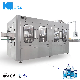 China Manufacturer Mineral Water Plant/Mineral Water Filling Machine/Mini Water Treatment Plant Manufacturers