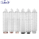  High Precision 0.02/0.05 Micron Water Filter Cartridge with Hydrophobic Hydrophillic Pleated PTFE Membrane for Fermentation Semiconductor Chemical Gas Filter
