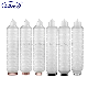 High Precision 0.02/0.05 Micron Water Filter Cartridge with Hydrophobic Hydrophillic Pleated PTFE Membrane for Fermentation Semiconductor Chemical Gas Filter