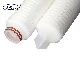 OEM/ODM PP Pleated Micron Filter Cartridge for Liquid Gas Beverage Microelectronics Industry Water Filtration with Soe 222 Double O-Rings Bayonet Spear/Fin
