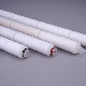 Nylon Pleated Filter Elements for Microelectronics and Industrial Water Filtration manufacturer