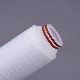 0.22 Um 10′′ Hydrophilic PTFE Filter Cartridge for Sterile Filtration of Laboratory Chemicals manufacturer