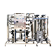  500lph Fully Automatic Reverse Osmosis System RO Water Purification Filter Ultra Pure Water Treatment Plant