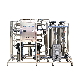 500lph Fully Automatic Reverse Osmosis System RO Water Purification Filter Ultra Pure Water Treatment Plant
