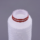 Wholesale 0.22 Micron Di Water Filter Pes PS Membrane Food Pleated Filter Cartridge for Deionized Water Systems manufacturer