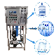  250lph Reverse Osmosis Water Purification System Drinking Water Treatment