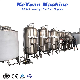  Small 500L/H Salt Water Desalination Plant SUS Pure Water Making Filter Drinking Water Purification System