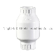  DN50 PVC Foot Valve for Water Treatment